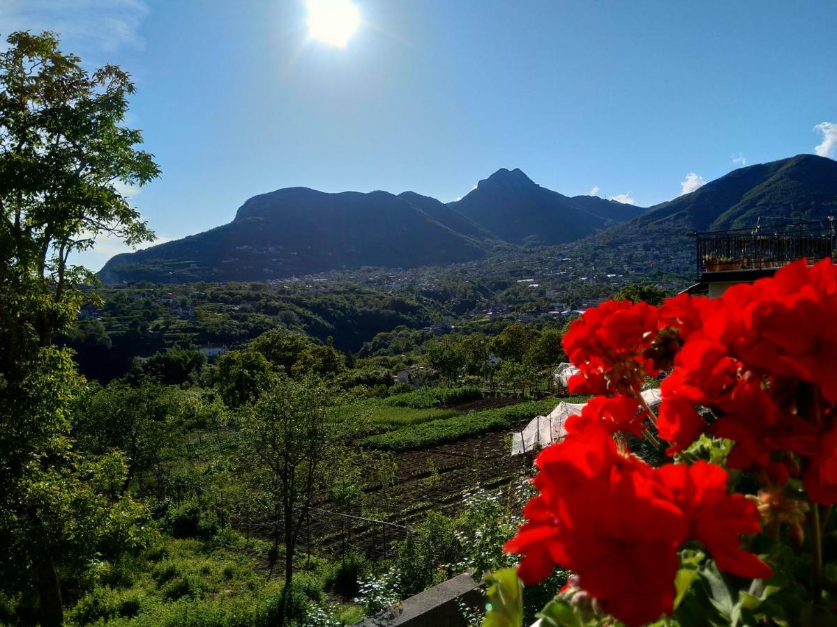 Jerula B&B Agerola Kültér fotó